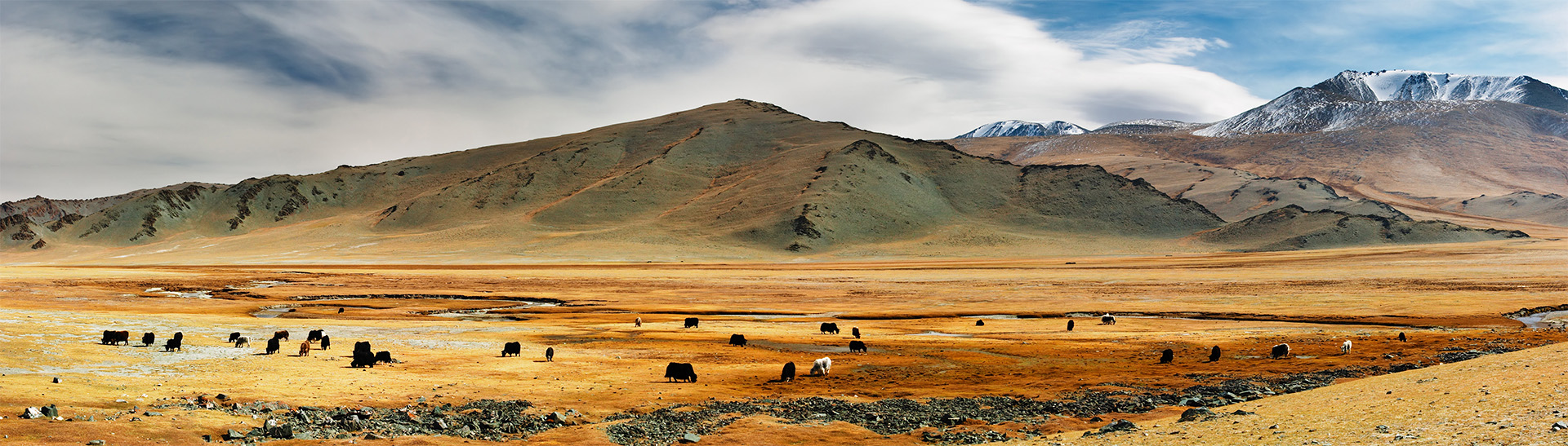 Mongolei Reisen
